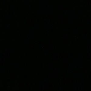 Meet your Posher, Larry